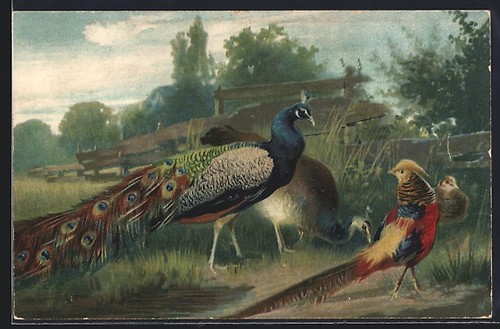 Carte postale artiste couple - d'artiste,
