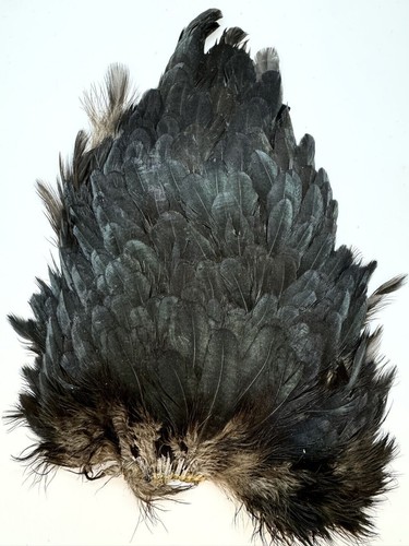 Grande selle poule noire - de,
