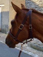 Reproduction de licol modèle