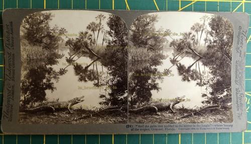 Carte photo stéréo - stéréo, underwood