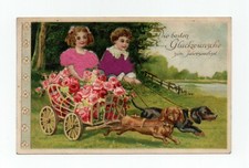 Chien teckels enfants - .teckels,,