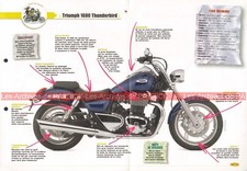 TRIUMPH 1600 Thunderbird 2009