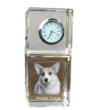 Pembroke Welsh Corgi -