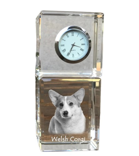 Pembroke welsh corgi - pembroke,