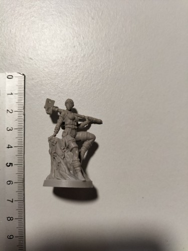 Hippolyta amazone lost - ,