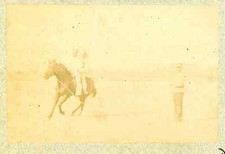 France, Voltige équestre