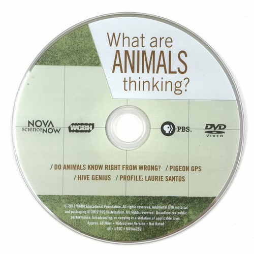 Nova what are - what, animals