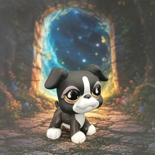 Chien boxer 826 littlest - boxer, #826