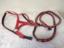 Harnais + Laisse pour grand chien