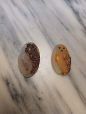 Pate De Verre Style Walter? En L État