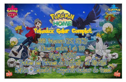 Pokémon epée bouclier 8g - epée,