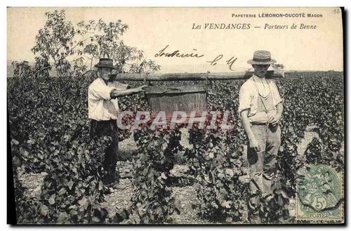 Les vendanges porteurs de - vendanges, —