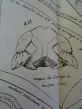 N°70 ANCIEN PATRON LA POUPEE MODELE 45 & 34CM CORSAGE A BASQUE AVRIL 1871