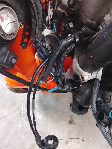 Faisceau électrique yamaha - Électrique,