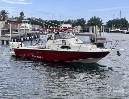 Boston whaler - boston,