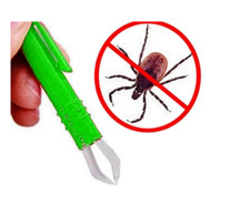 Stylo Tire Arrache Tique