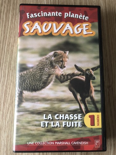 Cassette vidéo vhs fascinante - vidÉo,