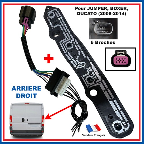 Faisceau platine porte lampe - +,