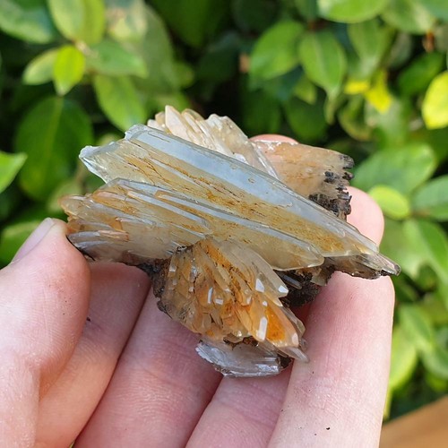 Baryte barytine bleue nador - baryte/barytine,