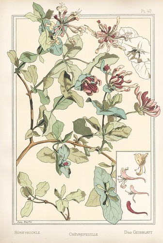 Eugene grasset 40 - grasset,