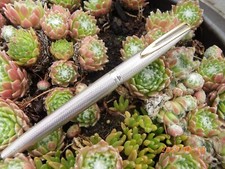 ANCIEN STYLO PLUME WATERMAN CF