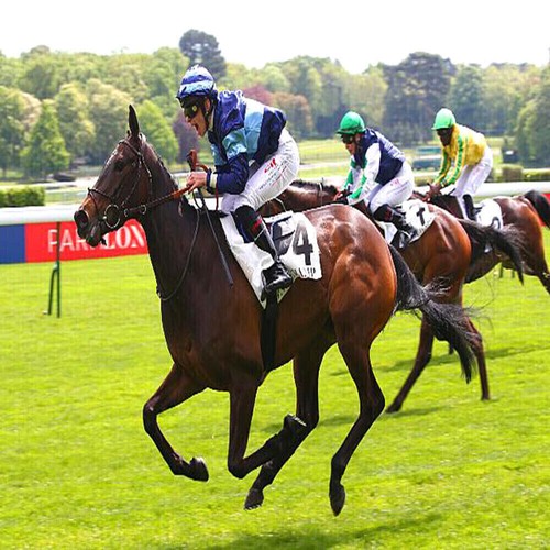 Methode turf winning - de, :