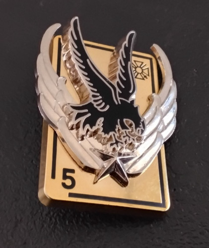 Insigne militaire 5em - militaire,