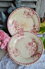 2 ANCIENNES ASSIETTES PLATES TERRE DE FER BORDEAUX SFNGR DECOR DE FLEURS
