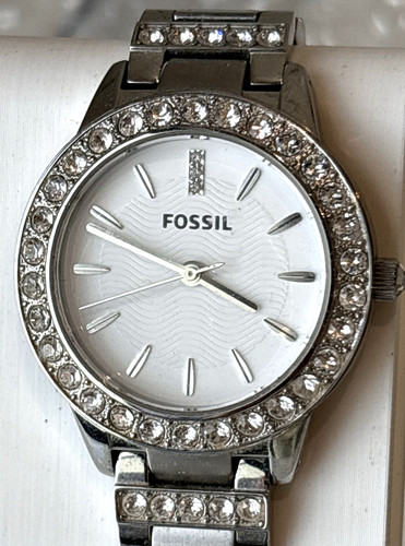 Shimmering fossil ladies - fossil,