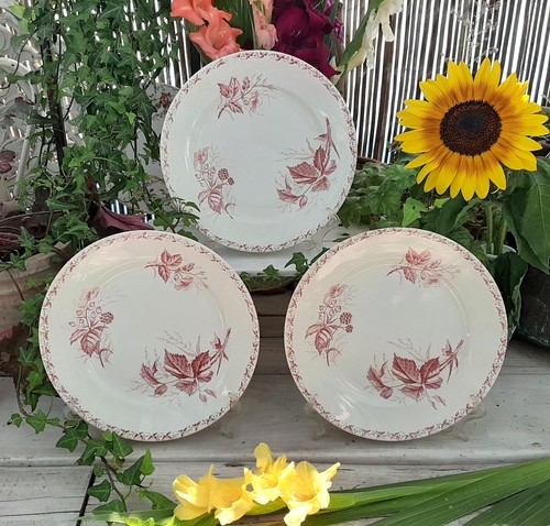 Assiettes plates badonviller - plates,