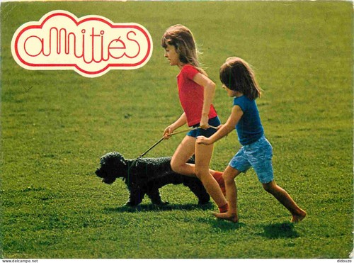 Carte postale animaux - postale,