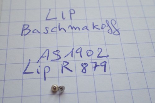 Lip baschmakoff vis - lip, :