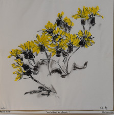 Felix Schivo (1924-2006) (05)