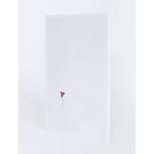 Keita noguchi flower - noguchi,