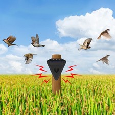 Répulsif anti-oiseaux