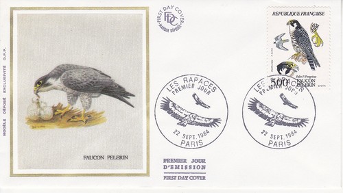 Enveloppe 1er jour - , rapace