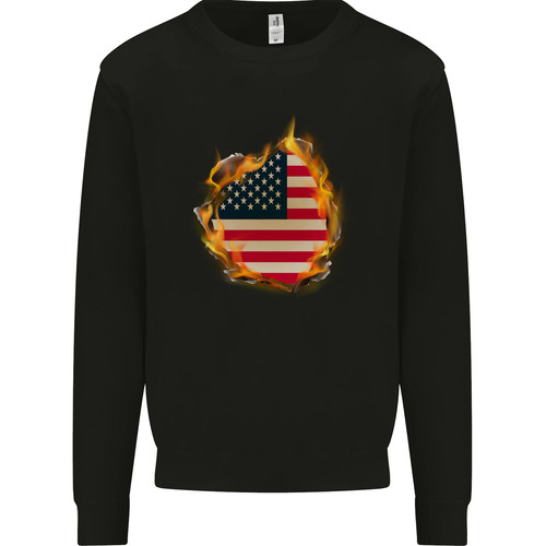 The stars rayures drapeau - rayures,