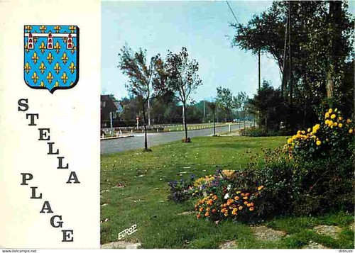 Carte postale stella - postale, 62