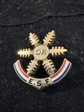 Pin insigne ski esf - pin’s,