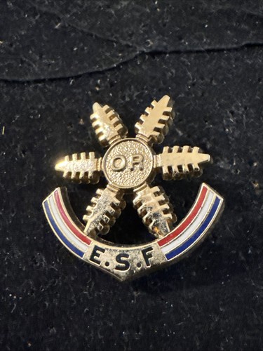 Pin insigne ski esf - insigne,