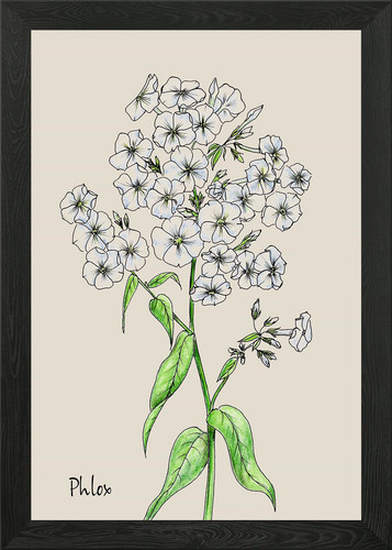 Plox framed wall art poster - plox,