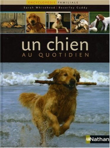 Chien quotidien - un, au