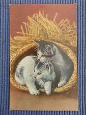 Ancienne Carte Postale Ak