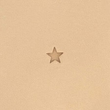 Matoir sur manche TANDY