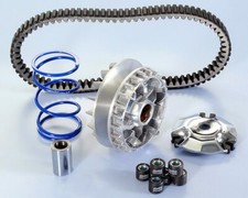 Variateur + Courroie Polini