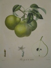 Gravure originale ancienne -