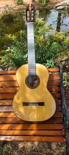 Guitare classique concert - guitare,