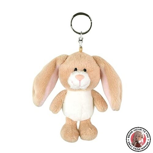 Nici lop eared rabbit - nici, bean