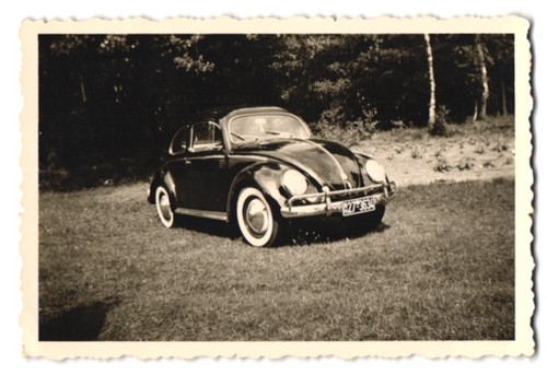 Photographie coccinelle vw - de,