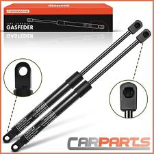 2x à Gaz Amortisseur